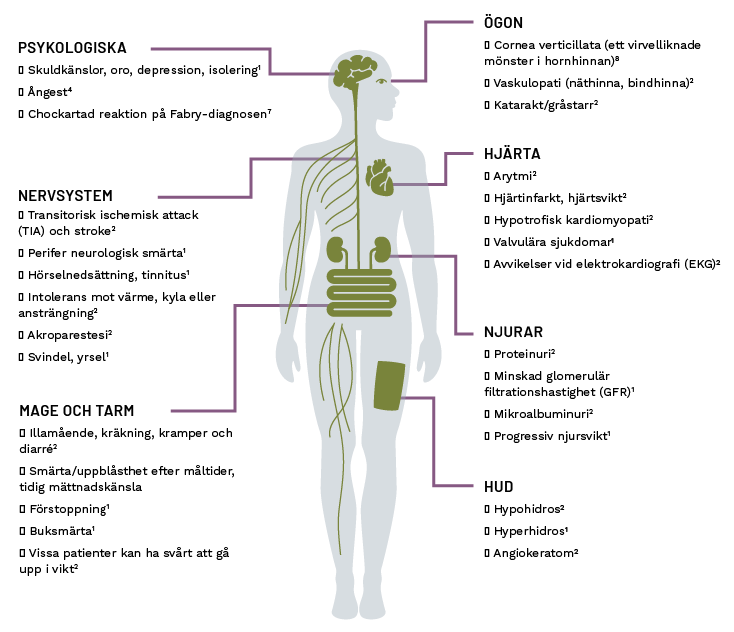 hcp-what-is-fabry-disease